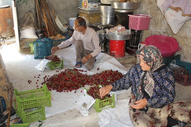 اولین بخشدار زن دولت چهاردهم: شایستگی مهم است، نه جنسیت