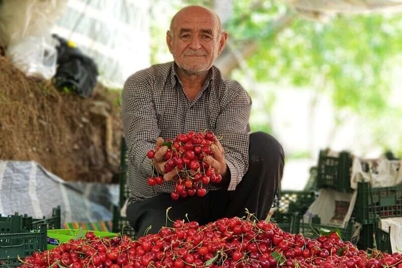 اولین بخشدار زن دولت چهاردهم: شایستگی مهم است، نه جنسیت